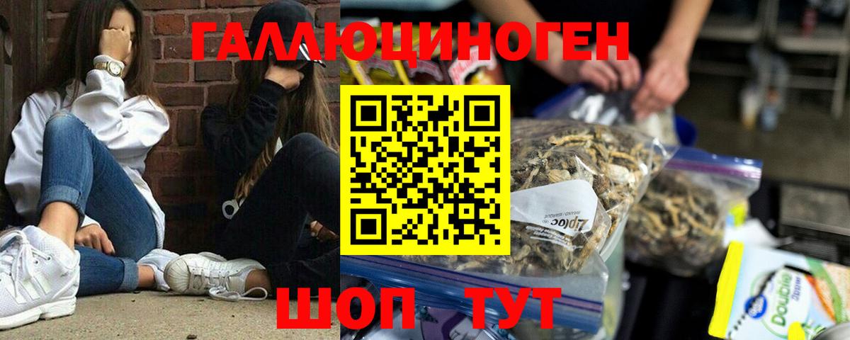 Псилоцибиновые грибы ЛСД Богородицк
