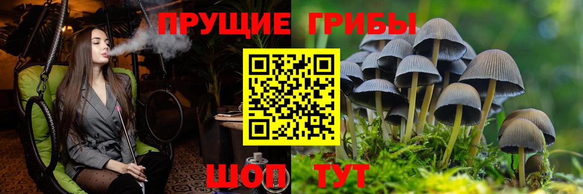 Богородицк  Псилоцибиновые грибы мицелий  Вход с VPN 